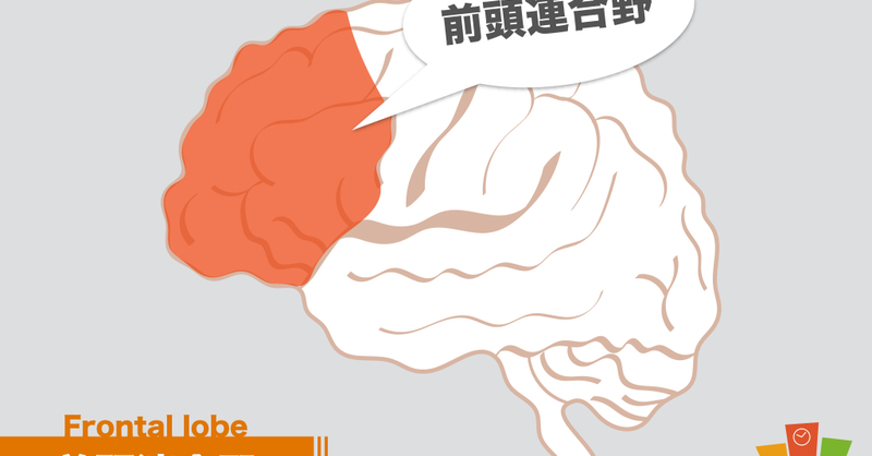 苦手な脳を再勉強 前頭連合野をイラストで復習しよう 理学療法士 作業療法士 言語聴覚士の求人 セミナー情報なら Post