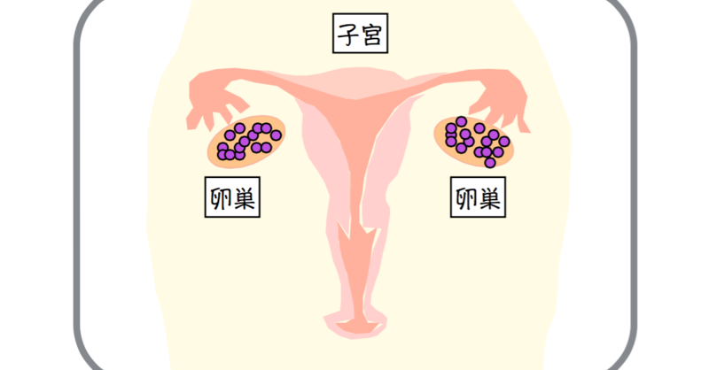 月経を示す粘液の種類は何ですか?