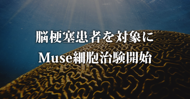 脳梗塞患者を対象に Muse細胞治験開始 理学療法士 作業療法士 言語聴覚士の求人 セミナー情報なら Post