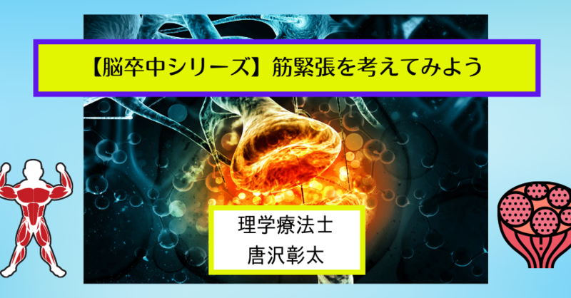 筋緊張異常の評価とアプローチ DVD