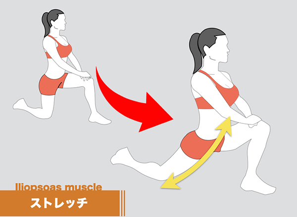 筋機能評価法 触診ストレッチ 筋肉関節事典 筋機能評価法―ビジュアルで
