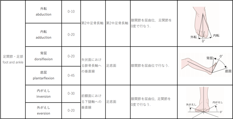 関節可動域表示ならびに測定法改訂｜2022年4月改訂 | 理学療法士・作業