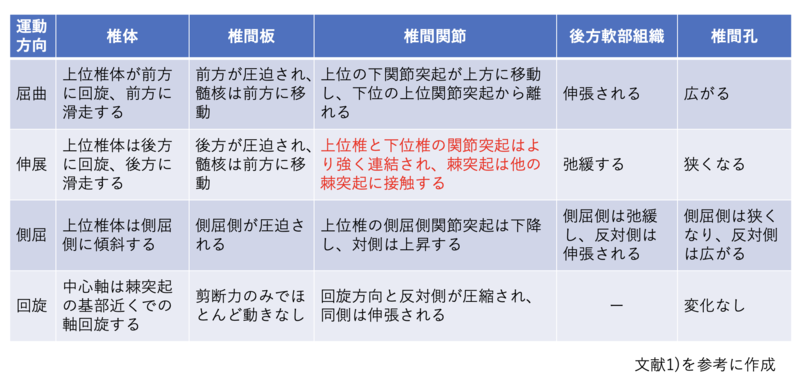 椎間関節性腰痛の考え方 | 理学療法士・作業療法士・言語聴覚士