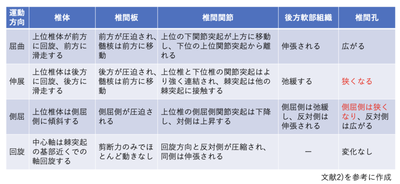 腰部屈曲時に背側から下肢に症状が出現する患者の評価・治療の実際(全２枚) 非特異的腰痛の評価と運動療法： | 理学療法士・作業療法士