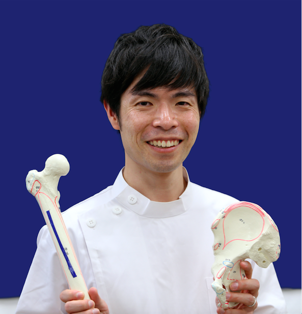 形態解剖学的視点から考える 骨盤 理学療法士 作業療法士 言語聴覚士の求人 セミナー情報なら Post