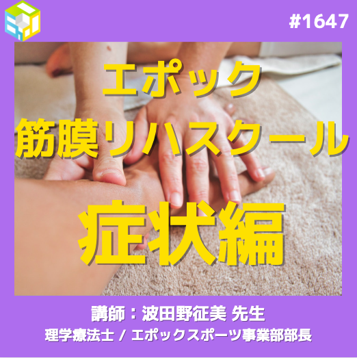 アナトミートレインと婦人科・泌尿器科疾患|エポック筋膜リハスクール症状編